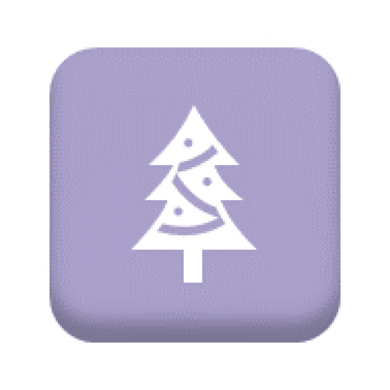 Button with an illustration of a Christmas tree to symbolise Christmas.  URL leads to Staff Benefits Christmas page.